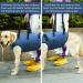 COODEO XL Dog Harness - Padded Breathable Support & Rehabilitation Belt for Pets with Joint Injuries | Adjustable Lifting Straps (Blue) - Buy Online on GoSupps.com