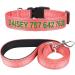 Tagme dog collar and leash personalized reflective dog collar with 1.5m double -sided reflective dog leash for small baby bossa XS (1 Pack) Babyrosa set