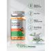 Horbaach Turmeric Ginger Gummies 120ct | Peach Flavor | Vegan Non-GMO Gluten-Free Supplement - Buy Online on GoSupps.com