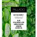 Palladio Hydrating Lip Oil with Hyaluronic Acid | Non-Sticky & Vegan Liquid Lipstick for Moisture-Rich Lips | Tinted Sheer Color & Subtle Shine | Cruelty-Free | 0.13 Oz (BLING) - Buy Online on GoSupps.com