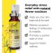 Bach Rescue Remedy Spray 0.7 fl oz - Natural Stress Relief | Flower Remedies - Buy Online on GoSupps.com