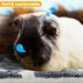 5 PCS Small Animal Winter Bedding Fleece Mats - Rabbit, Guinea Pig, Hamster Bed Mat with Cleaning Brush - Soft & Warm for Chinchilla, Hedgehog - Thickened Plush Material - Buy Online on GoSupps.com