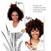 Qhemet Biologics Moringa Tree Conditioning Ghee | Lightweight Detangler for Moderately Dry Hair | Ideal for Kinks & Coils (8 oz) - International Shipping Available - Buy Online on GoSupps.com