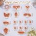 Puocaon Luna Moth Polymer Clay Cutters - Set of 16 Shapes for Polymer Clay Jewelry Making - Buy Online on GoSupps.com