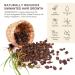 Cyperus Rotundus Oil Cyperus Rotundus Oil for Hair Removal Natural Moisturizing Cyprus for Smooth Skin Suit for All Skin Type - Buy Online on GoSupps.com