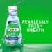 Crest Scope All Day Mouthwash Alcohol-Free 1L - Plaque and Gingivitis Protection, 99% Germ Elimination - Mild Flavor - Buy Online on GoSupps.com