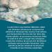 100% Natural Unrefined Sea Salt Mineral Sea Salt Eco-Friendly High Purity Perfect for Cooking Q Sea Salt - Buy Online on GoSupps.com