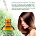 ZODENIS Rosemary Oil for Hair Growth (2 60ML) Organic Essential Oil 100% Pure Natural Deeply Nourishing Scalp Stimulates Growth Thickening Hair Rid of Dry 100 ml - Buy Online on GoSupps.com