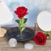 Plastic Flower Holder Pin Set - Japanese Style Floral Arrangement Tools (4 Pieces) - Buy Online on GoSupps.com
