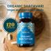 Organic Shatavari Capsules 120 caps - Hormone Balance & Breastfeeding Support - Buy Online on GoSupps.com