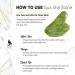 Jade Roller and Gua Sha Set for Face | Facial Beauty Tools for Skin Care | Jade Roller & GuaSha Massager - Buy Online on GoSupps.com