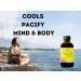 Padmashri Naturals Cooling pitta ayurvedic massage Oil 100ml - Buy Online on GoSupps.com