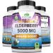Sambucus Elderberry 5000mg Super Concentrated with Vitamin C & Zinc - Immune Support Supplement | 90 Veggie Capsules - Buy Online on GoSupps.com