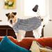 Puppy Dog Knitted Pullover Sweater Turtleneck Warm Soft Knit Small Cat Sweater for Cold Weather Dog Jumper Knitwear Warm Dog Cat Jumper Pet Vest Comfortable Pet Coat Costume for Small Dogs (S Grey) - Buy Online on GoSupps.com