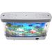 Lightahead Artificial Tropical Fish Aquarium Decorative Lamp - Virtual Ocean Marine Life Motion Decor for Home or Office - Buy Online on GoSupps.com