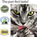 Vet Worthy Milk Replacement for Cats - Milk Formula Replacer for Puppies  Pregnant  Lactating  Elderly or Recovering Dogs - Enriched with Colostrum  Whey Protein  Vitamins  and Minerals - 12 oz - Buy Online on GoSupps.com