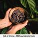  Almarte ALMARTE Ceremonial Cacao 1000g/1kg | 100% Raw and Pure Dominican Republic | Heart-Opening Medicine | Single Origin Organic | Regenerative Farm | Theobromine Energy | Coffee Substitute - Buy Online on GoSupps.com