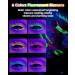 UV Glow Colored Mascara Volume and Length-1 Pcs Pink Waterproof Mascara for Eyelashes Fast Dry Curling Non Clumping Mascara Long Lasting Smudgeproof for Halloween Party Stage Use Clubbing Makeup-04 04#Pink - Buy Online on GoSupps.com