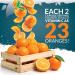 Immune Support Supplement - Vitamin C 1200mg, Zinc 40mg, Vitamin D3 1000IU - 180 Vegetarian Capsules - Made in UK by Nu U Nutrition - Buy Online on GoSupps.com