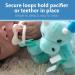Dr. Brown's Baby Lovey Pacifier & Teether Holder  Triceratops with Grey HappyPaci  100% Silicone  0-12m - Buy Online on GoSupps.com