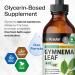 BIO KRAUTER Gymnema Sylvestre - Liquid Drops Gymnema Sylvestre Extract 530 mg per Serving 4 Fl.Oz 56-Day Supply - Pure & Vegan Gurmar for Overall Support & Daily Wellness - Alcohol & Sugar Free 4 Fl Oz (Pack of 1) - Buy Online on GoSupps.com