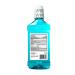 Solimo Tartar Control Plus Antiseptic Mouth Rinse 1L - Iceberg Blue Mint | Pack of 1 - Buy Online on GoSupps.com