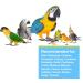 Hagen All Birds Prime Vitamin Supplement 1.1 oz - Essential Bird Supplement - Buy Online on GoSupps.com