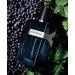 YVES SAINT LAURENT Y Eau De Parfum Intense Spray for Men 3.4 Ounce (New 2023) 3.3 Fl Oz (Pack of 1) - Buy Online on GoSupps.com