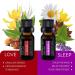 Pure Daily Care Top 10 Essential Oil Synergy Blend Set - 10x10mL Therapeutic Grade Oils for Mind, Body, and Spirit Upliftment - No Fillers or Additives - Buy Online on GoSupps.com