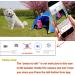 Digital Pet Collar Cam Camera DVR Video Recorder Monitor For Dog Cat Puppy Black (with 8GB memory card black) - Buy Online on GoSupps.com