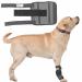 NATURE PET Dog Carpal Splint/Dog Carpal Joint Protection Splint/Dog Support Brace Carpolock Medium Grey - XL