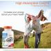Doctor's Best High Absorption CoQ10 600 mg with BioPerine - 60 Veggie Caps for Enhanced Heart Health - Buy Online on GoSupps.com