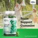 Wild Organic Ginkgo Biloba Gummies - Brain & Mental Support Supplement for Mood, Focus, Energy & Blood Circulation - Vegan Non-GMO - 60 Chews - Buy Online on GoSupps.com