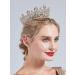 Rose Gold Crystal Crown & Tiara for Women - Wedding, Prom, Party Headband - Buy Online on GoSupps.com