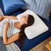 Sleep Innovations Memory Foam Contour Pillow - Standard Size for Head, Neck, and Shoulder Alignment - Medium Support for Side and Back Sleepers - Buy Online on GoSupps.com