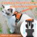 Buy Rabbitgoo Breakproof Cat Dishes & Adjustable Harness | Reflective Leash & Bowl for Cats Kittens & Small Dogs - Orange XS (1 Pack) - Buy Online on GoSupps.com