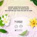 SOLINOTES White Tea Perfume for Women - Eau De Parfum | Delicate Floral and Soothing Scent - Made in France - Vegan - 1.7 fl.oz - Buy Online on GoSupps.com