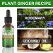 Rosemary Essential Oil For Hair Strenghten And Anti-Hair Loss Rosemary Hair Oil Hair Growth Oil Pure & Natural Nourishes Scalp Stimulates Hair Growth Lmprove Blood Circulation Vegan - Buy Online on GoSupps.com