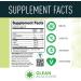 Clean BCAA Vegan Amino Acid Supplement with Organic Coconut Water Electrolytes - Fruit Punch Flavor - 216g - Buy Online on GoSupps.com