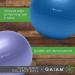 Gaiam Total Body Balance Ball Kit - Anti-Burst Stability Exercise Ball with Pump & Workout Program, Purple (55cm) - Buy Online on GoSupps.com