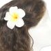 DreamLily Women's Fashion 3 Pcs Hawaiian White Plumeria Flower Foam Hair Clip Balaclavas for Beach (White)