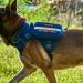 Oneigris Dog Feed Bag - 2 Pack Large Space Reflective Stripes for Tactical Training & Walking - Blue - Buy Online on GoSupps.com