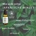 Elixr Japanese Mint Oil - 100% Essential Oil for Aromatherapy & Massage | Certified Natural Cosmetics from Germany - 10ml - Buy Online on GoSupps.com