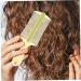 6 pi ces Peigne Antipelliculaire Double Face Dents Fines avec Manche Ergonomique Lot de Verts Noirs pour limination des Pellicules Toilettage des Gar on Fille Adultes et - Buy Online on GoSupps.com