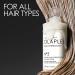 Olaplex No. 3 8.5 fl oz - Professional Hair Treatment for Strength and Repair - Buy Online on GoSupps.com
