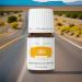 Young Living Lemon Vitality Essential Oil - 100% Pure Food-Grade Citrus Flavor Enhancer for Culinary & Beverage - Antioxidant & Immune Support - 5ml Worldwide Shipping - Buy Online on GoSupps.com