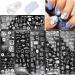 6 Pcs Nail Stamping Plates  with 1 Nail Stamper 1 Scraper Nail Stamp Template Chrysanthemum Coconut Tree Leaf Nail Art Templates Nail Stamper Stencil Plates Set Manicure Nail Supplies Flowers