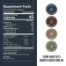 LIFESTACKS Focus Coffee Creamer - Energy & Clarity Boost with MCT Powder Nootropics & Adaptogens - Keto Vegan Zero Sugar Taurine L-Tyrosine Rhodiola Vanilla - Shop Internationally - Buy Online on GoSupps.com