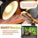 NEPTONION 75W UV Heat Lamp for Reptiles - Perfect Daylight Spot Lamp for Lizards Turtles & Bearded Dragons | E26 220V - Buy Online on GoSupps.com