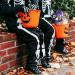 Pack Bonbons Halloween Mix Becky 205g & Trolli Sweet & Sour 360g avec autocollant fant me id al pour trick or treat enfants f te d Halloween d co bo te bonbons & plaisir gourmand effrayant Halloween Mix - 1 Pack (Becky 205g & Trolli 360g) - Buy Online on GoSupps.com